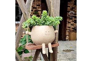 Swing Face Planter Pot