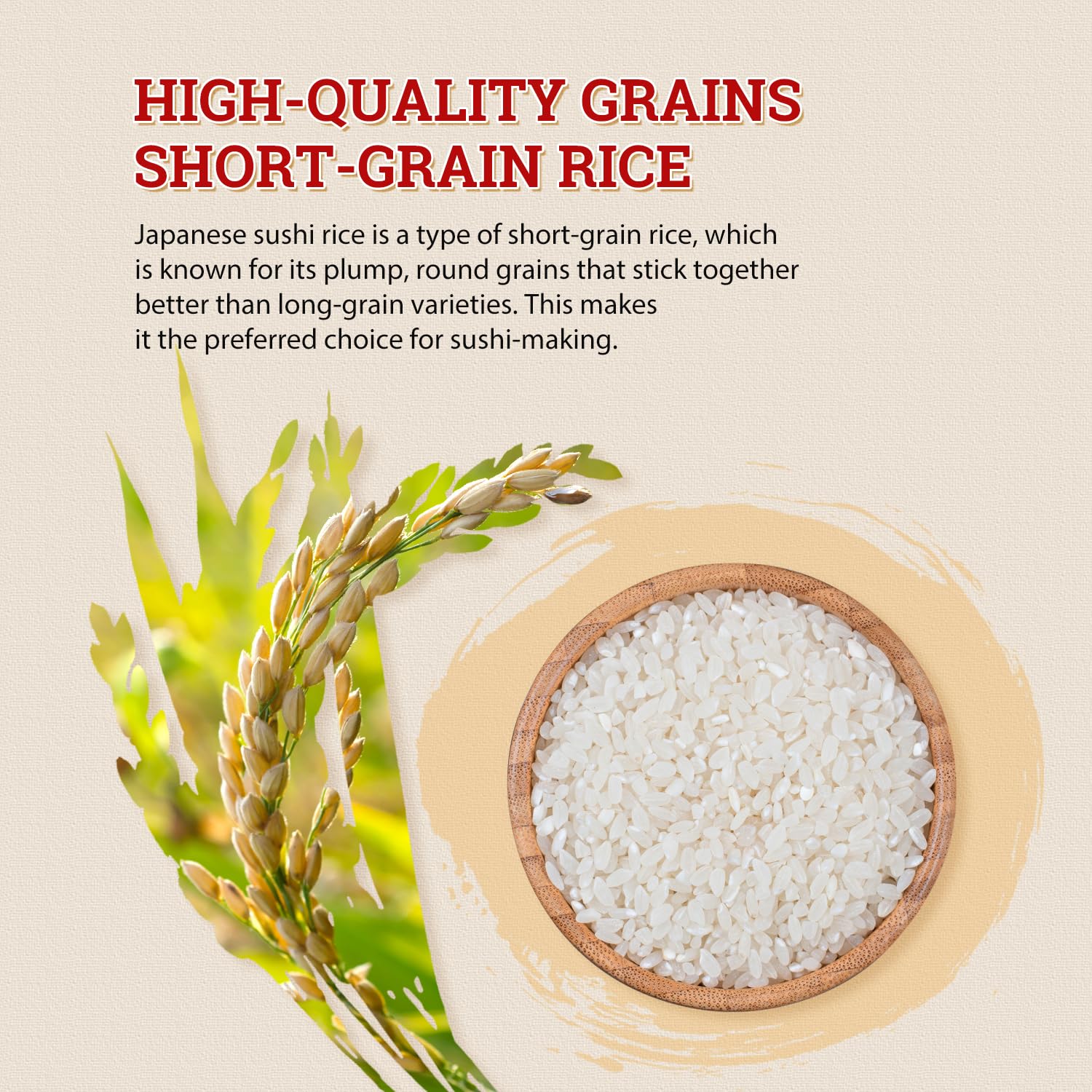 Amazon.com : 52USA Sushi Rice 2 Pound (32 Ounce), Premium Short