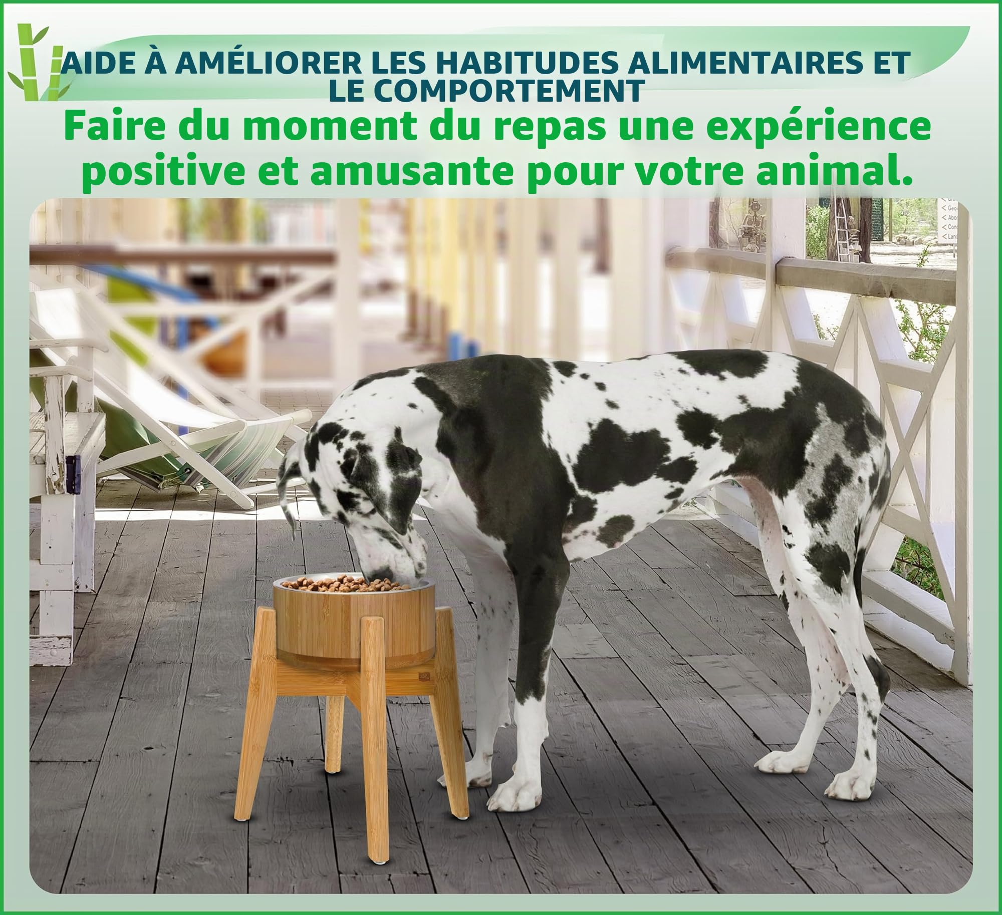 Gamelle surélevée pour chiens de grande race, pour aliments secs et humides, éloigne fourmis/insectes, en bambou avec plat en acier inoxydable et socle haut, 38 cm, capacité de 2 kg