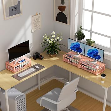 gianotter Computer Monitor Stand Riser with Drawer