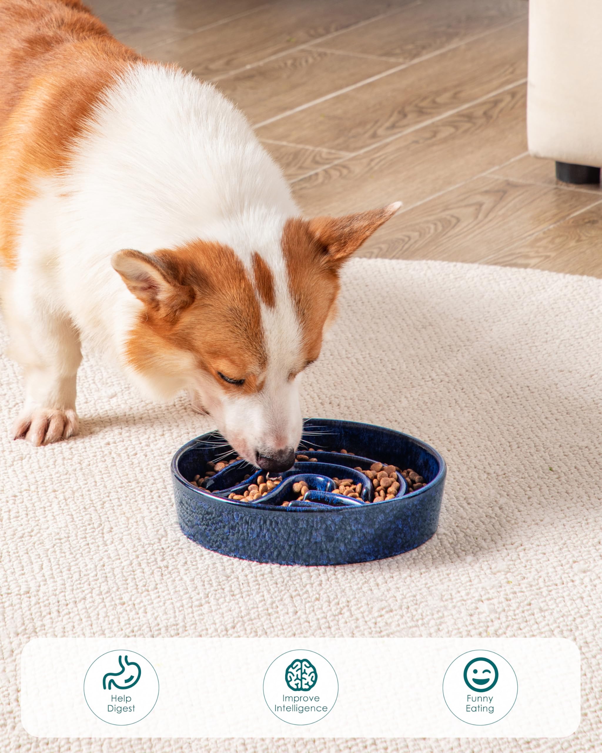 vancasso Comedero Perro Antivoracidad, 960ml Comedero Perro para Perros Pequeños y Medianos, Favorece una Digestión Saludable, Azul