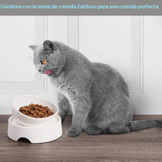Foto 5 de 6 de CatGuru Cuencos para Gatos, cerámica, sin derrames, Bigotes sin estrés, Antideslizantes para Alimentos y Agua