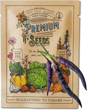 Mountain Valley Seed Co Cayenne Pepper Seeds for Planting Hot Cayenne | Purple - 500 mg 90+ Seeds - Non-GMO - Heirloom Hot Pepper Variety for Home Gardens - Packaged in Mylar for Extended Shelf