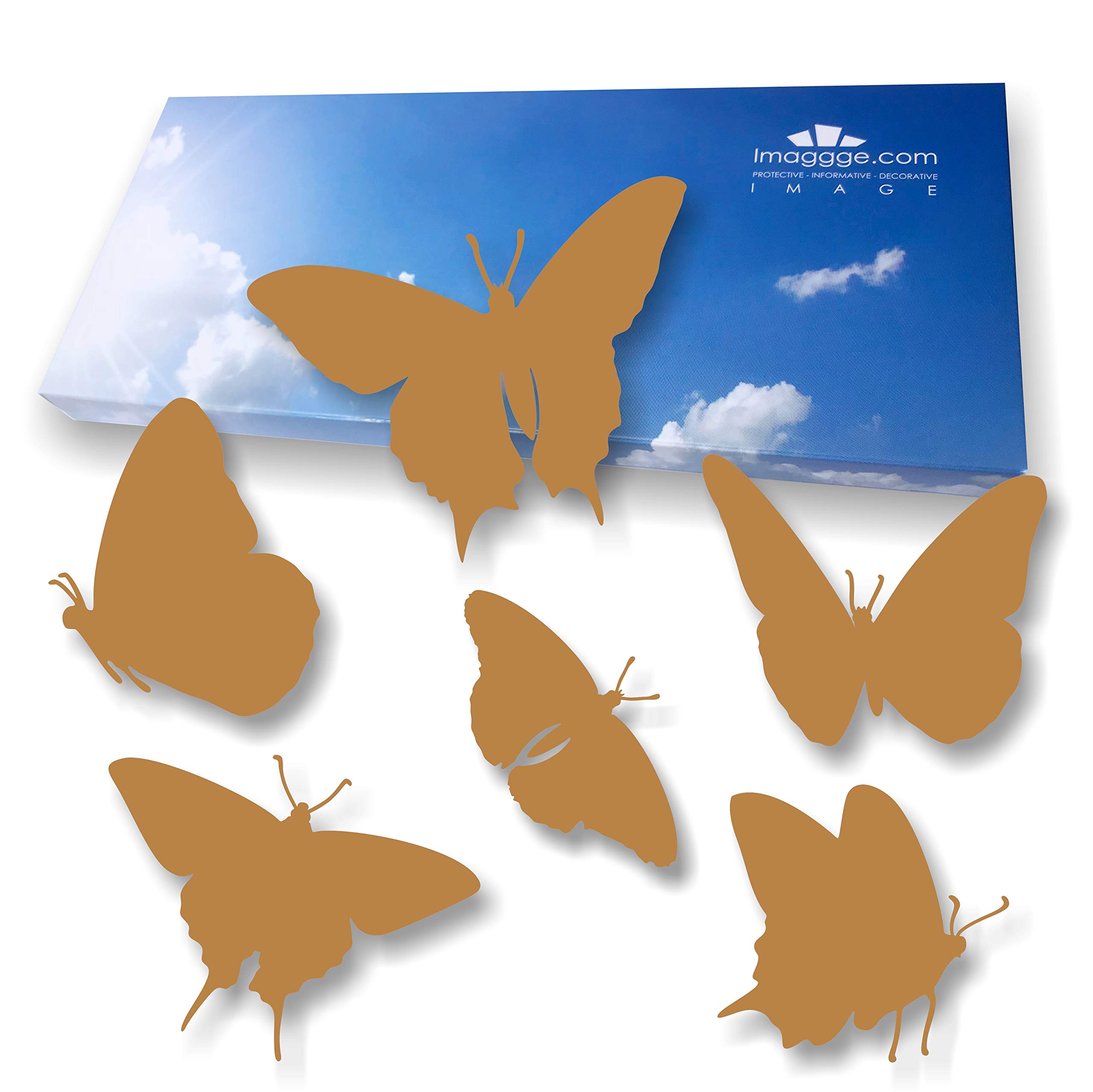 Window Protection Stickers, Anti-Collision Decals to Prevent People and Bird Strikes on Window Glass