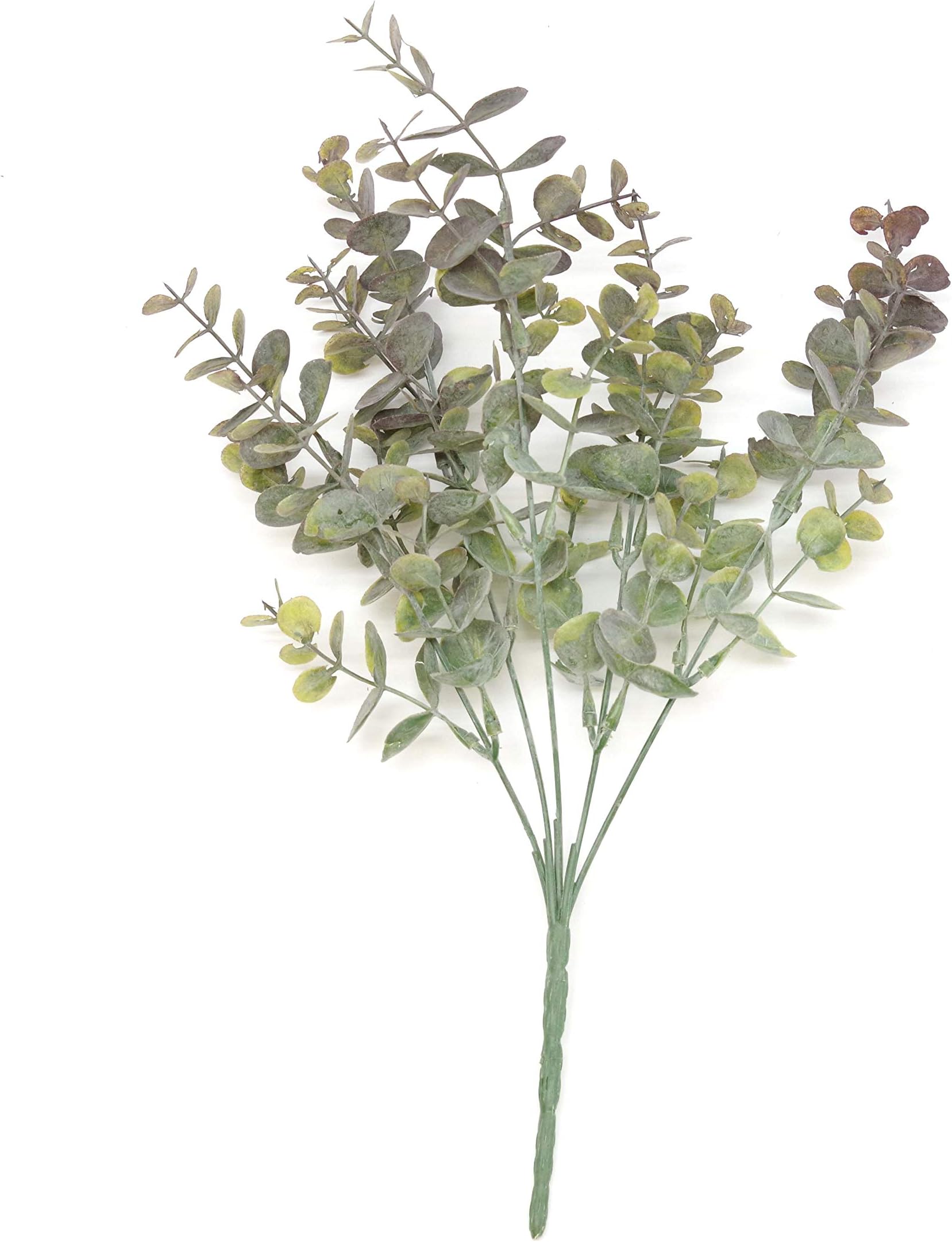 One 14" Green and Purple Eucalyptus Stem C