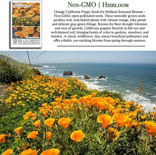 Miniatura 3 de Orange California Poppy, más de 1500 semillas de flores por paquete, semillas de jardín de Isla (semillas de jardín de Isla), semillas sin OMG y