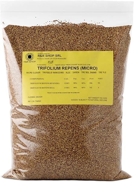 R&R SHOP - Semences de Gazon, Trèfle Nain Trifolium Repens, ans Tonte, Praticable et Couvre-Sol (200g – 50m²) - 1