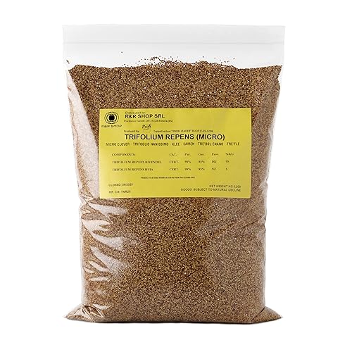 Lawn Seeds, Micro Clover Trifolium repens, No Mowing Required, Walkable