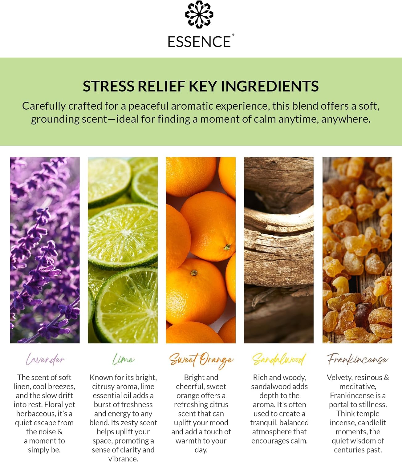 Essence Pearl Travel Case | Stress Relief Essential Oil | Aromatherapy Nasal Diffuser & Essential Oil Carrying Case | Lavender & Copaiba Blend | Travel-Friendly Kit | White Pod image 4
