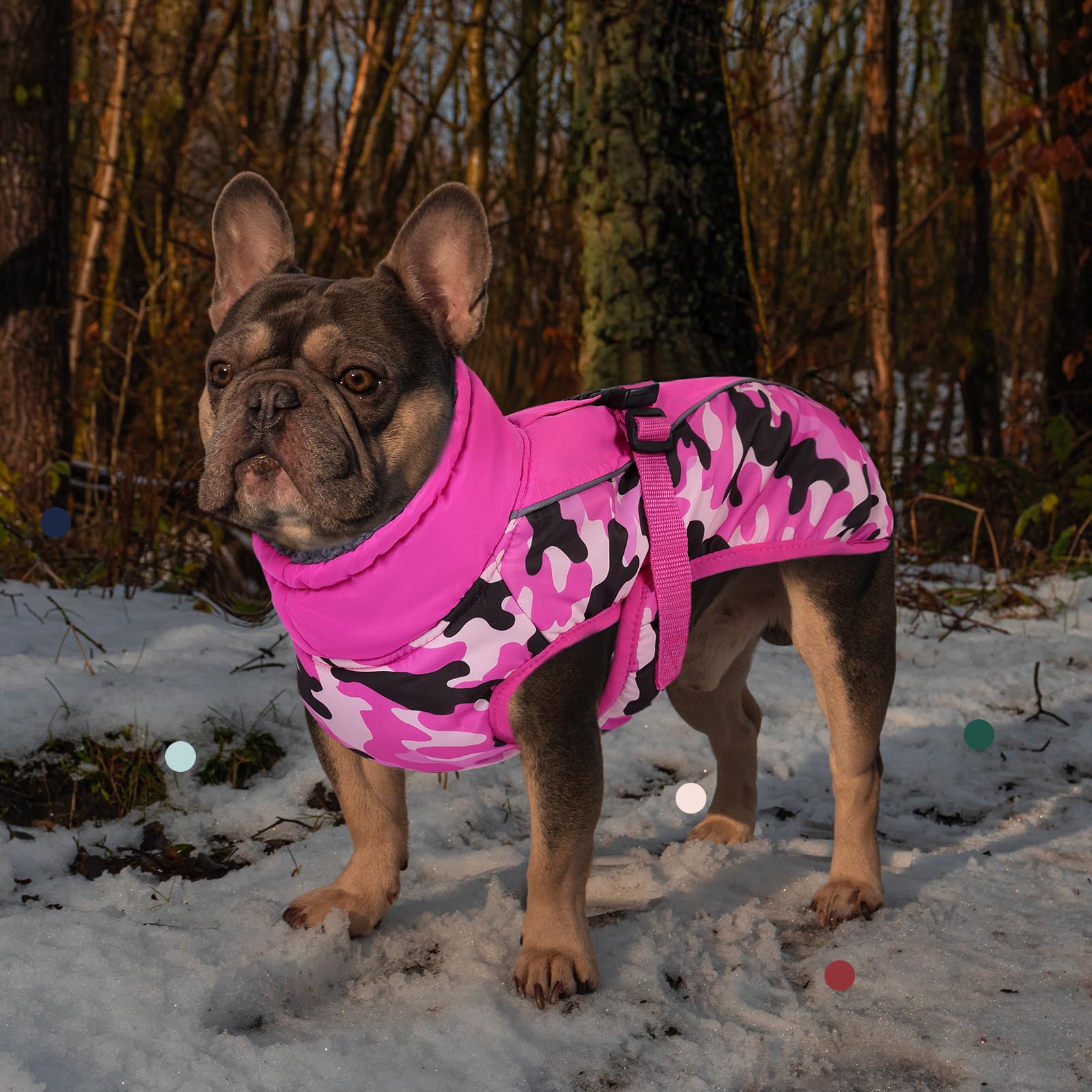 IECOii Abrigo extra cálido para perro, reflectante, ajustable, abrigo de invierno para perro con hebilla, chaqueta de forro polar con cuello alto para clima frío, abrigo de invierno suave para perros