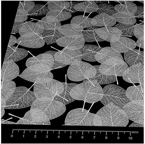 Miniatura 3 de BDF 4WHLV - Película decorativa para ventana, hojas blancas (48 pulgadas x 7 pies)