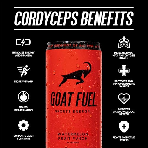 Miniatura 4 de G.O.A.T. Fuel Bebida energética deportiva preentrenamiento  Bebida energética de aminoácidos sin azúcar  Aumenta el rendimiento mental y físico  con