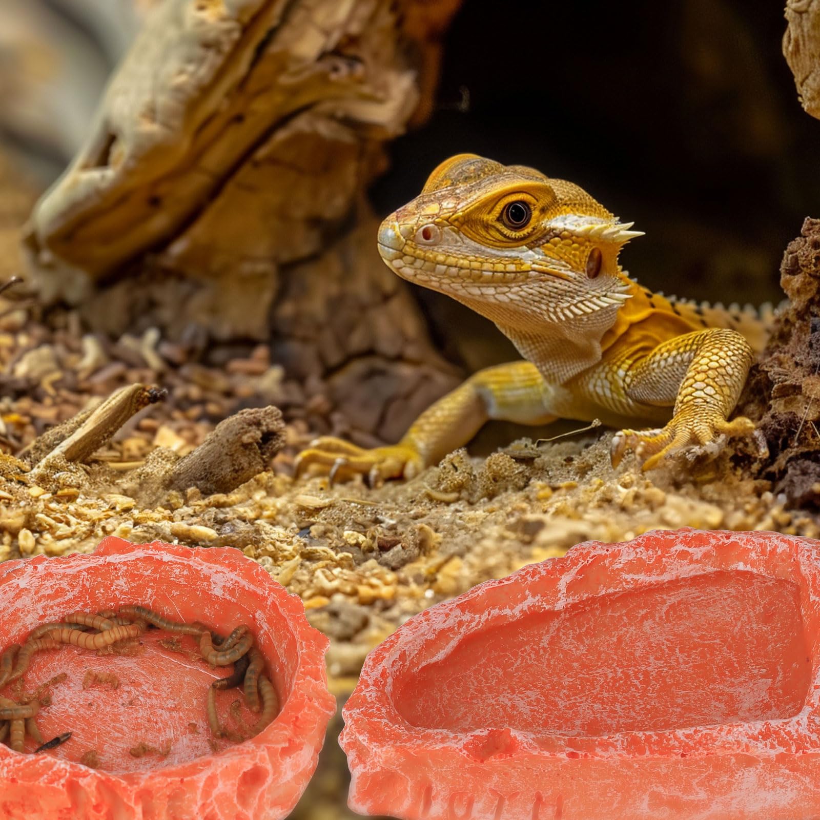 Plato de agua para reptiles, accesorios para tanque de dragón barbudo, comedero de roca para reptiles para tanque de reptiles, paquete de 2 cuencos de terrario de resina para leopardo, geco, cangrejo