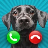 Dog Fake Call Prank