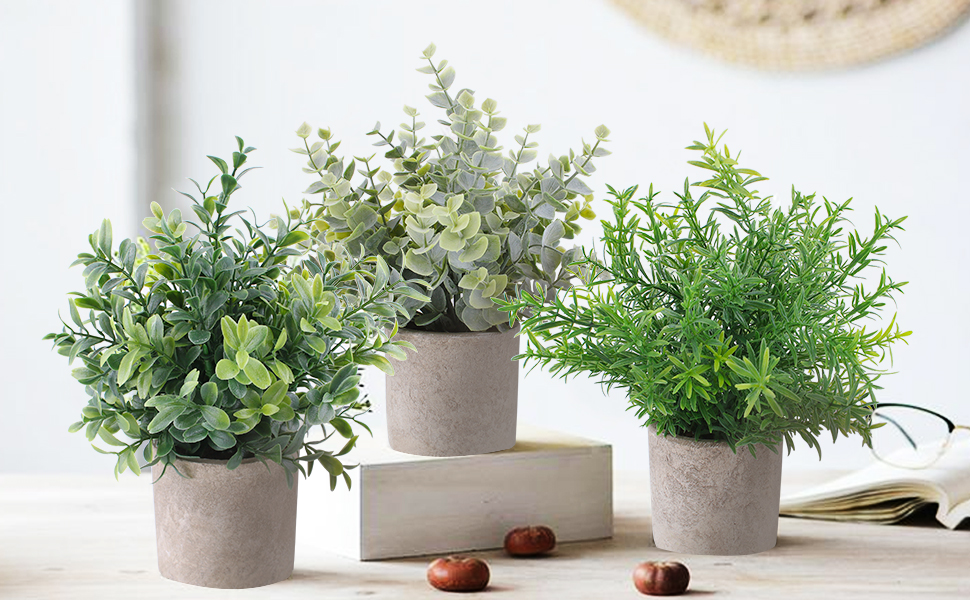 Lot De 3 Plantes Artificielles Mini Eucalyptus En Pot - Décoration Intérieure Verte Sans Entretien, Parfait Pour Salon, Bureau Ou étagère - 3