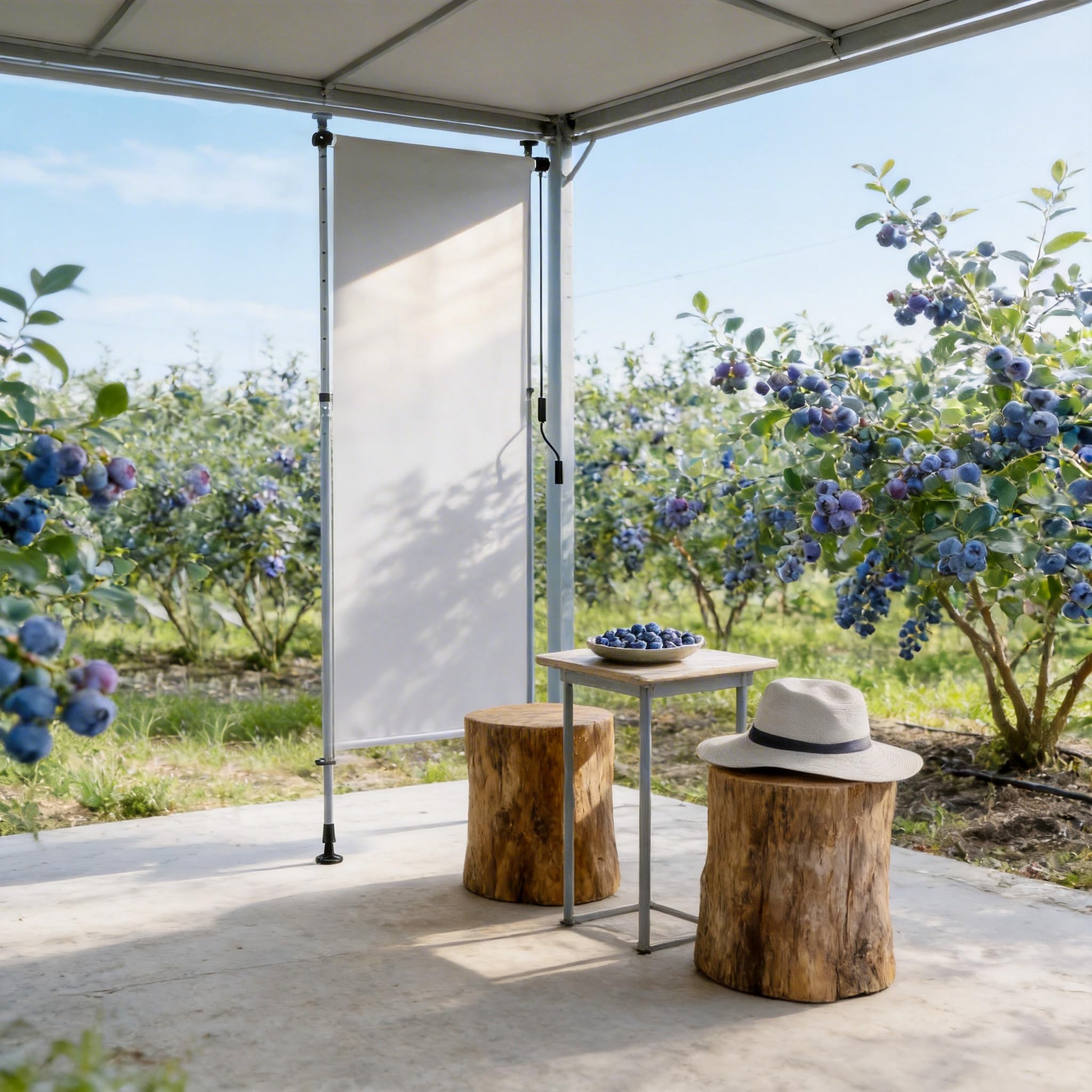 Tenda da sole verticale con manovella senza foratura 100 x 310 cm impermeabile allungabile oscurante grigio chiaro