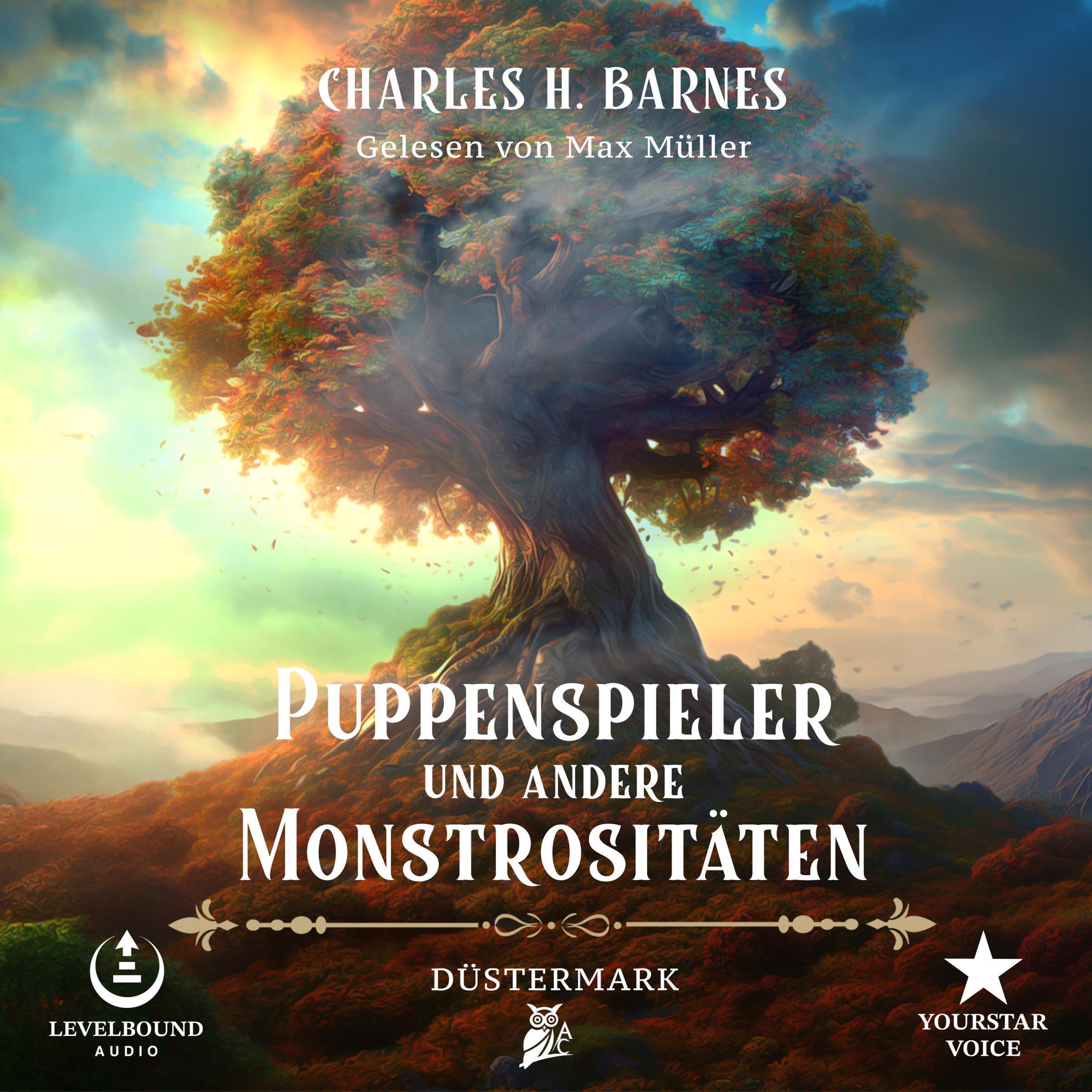 Cover art for Düstermark