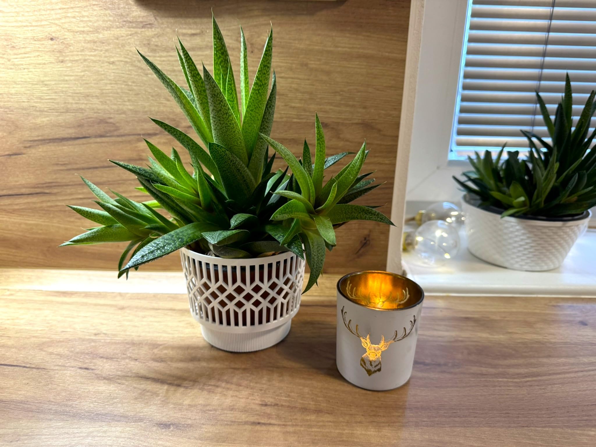 Kimmel Set of 3 Classic Planters, 13 cm, Flower Planter, Succulent Pot, Cactus Pot, Plant Pot, Flower Pot, Orchid Pot, Indoor Plants, Decorative Pot, Plastic, White
