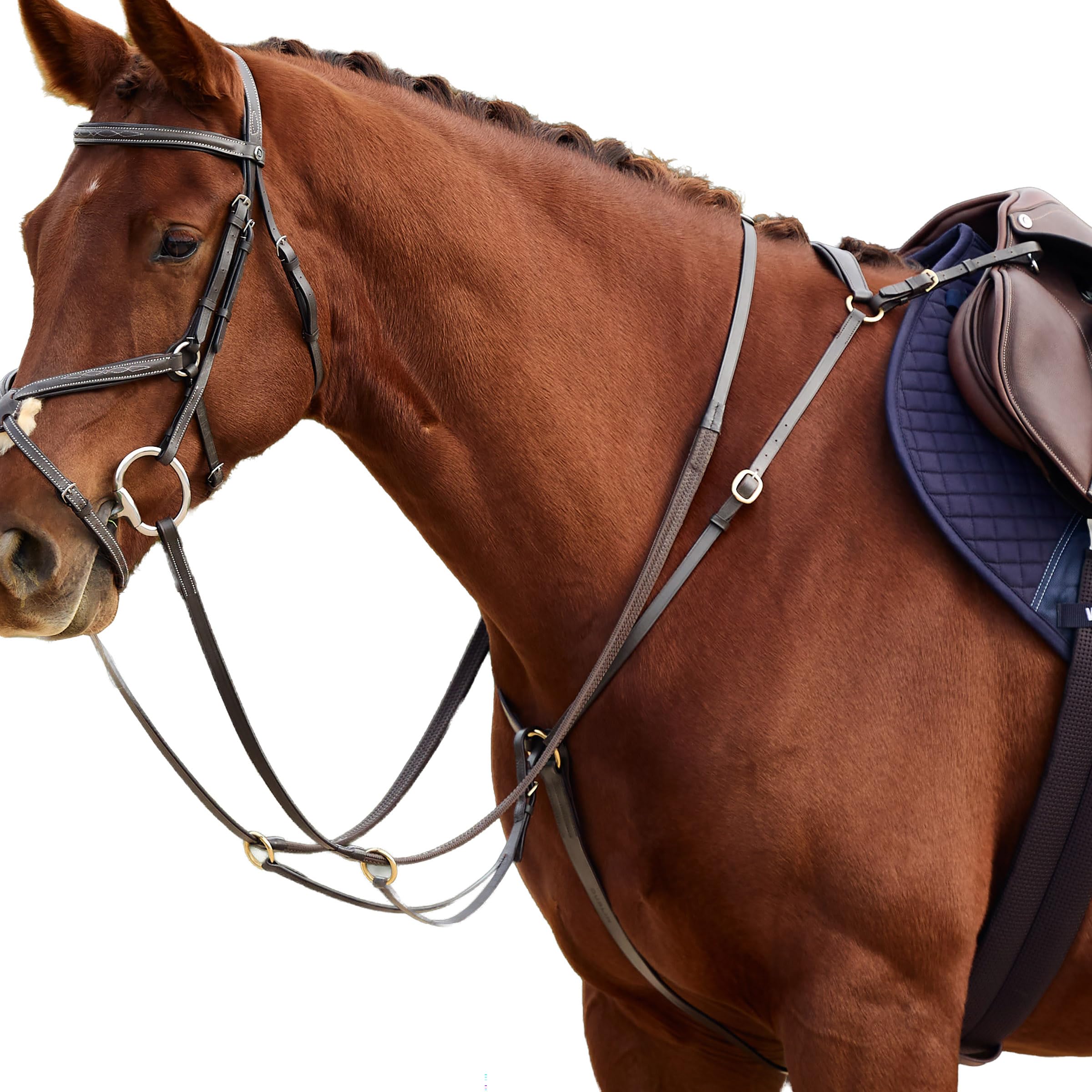 Dublin 3-Point Breastplate, Brown, Pony