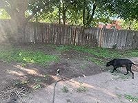 Review Image by KrisJasC KrisJasC