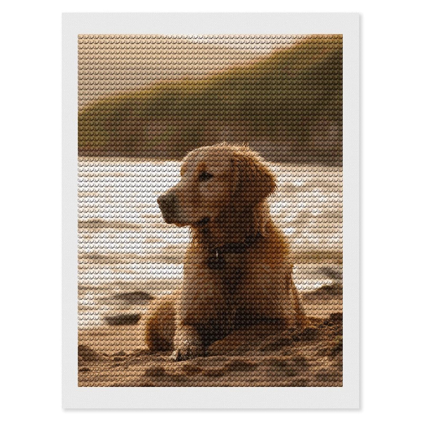 NONHAI Diamond Painting Kits for Adults - DIY Diamond Art Kits for Beginners - Full 5D Paint Drill Diamond Dots Paintings- Retriever Diamonds Pictures Gem Art and Craft Wall Decor 12"x16"