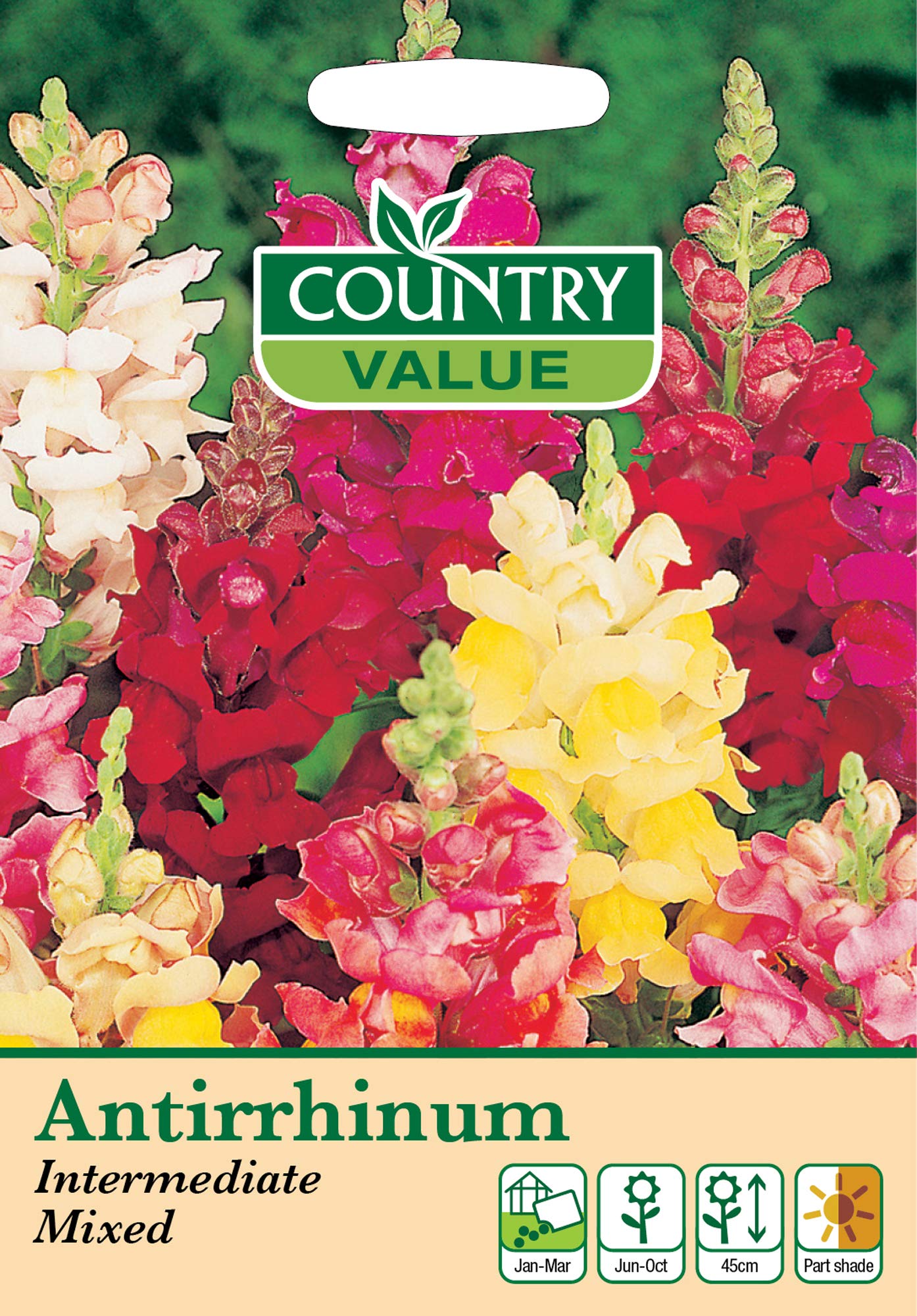Antirrhinum Seeds Intermediate Mixed by Snap Dragon Flowers