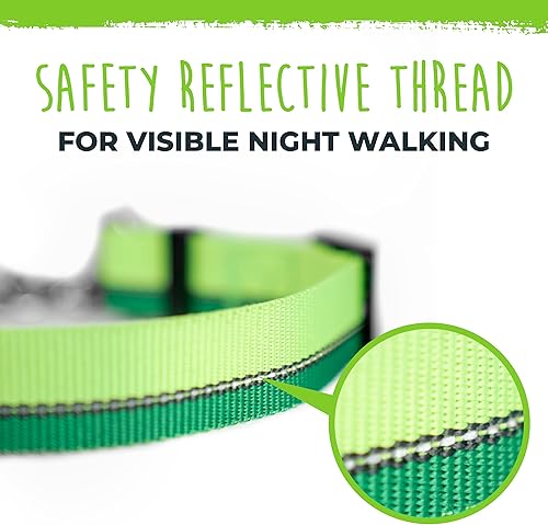 Miniatura 8 de Mighty Paw Martingale Collar para perro 2.0  Collar de deslizamiento limitado aprobado por el entrenador con cadena de acero inoxidable y hebilla