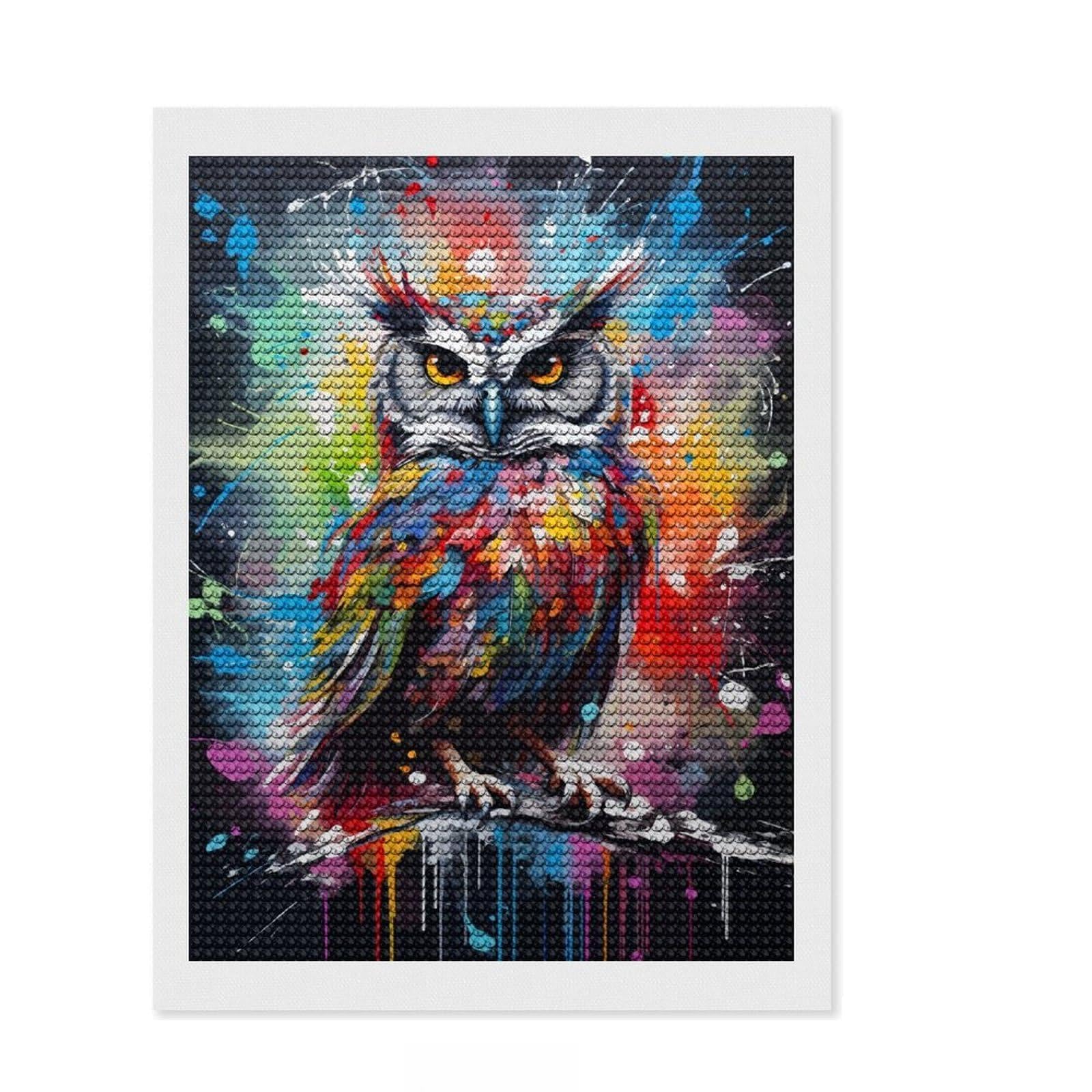 Junmoney Owl Painting Bird Poster Diamond Painting Canvas Set 12"x16", with Tool Kit, Neat Printed Canvas, Vintage Style Decor, Holiday Gift Idea