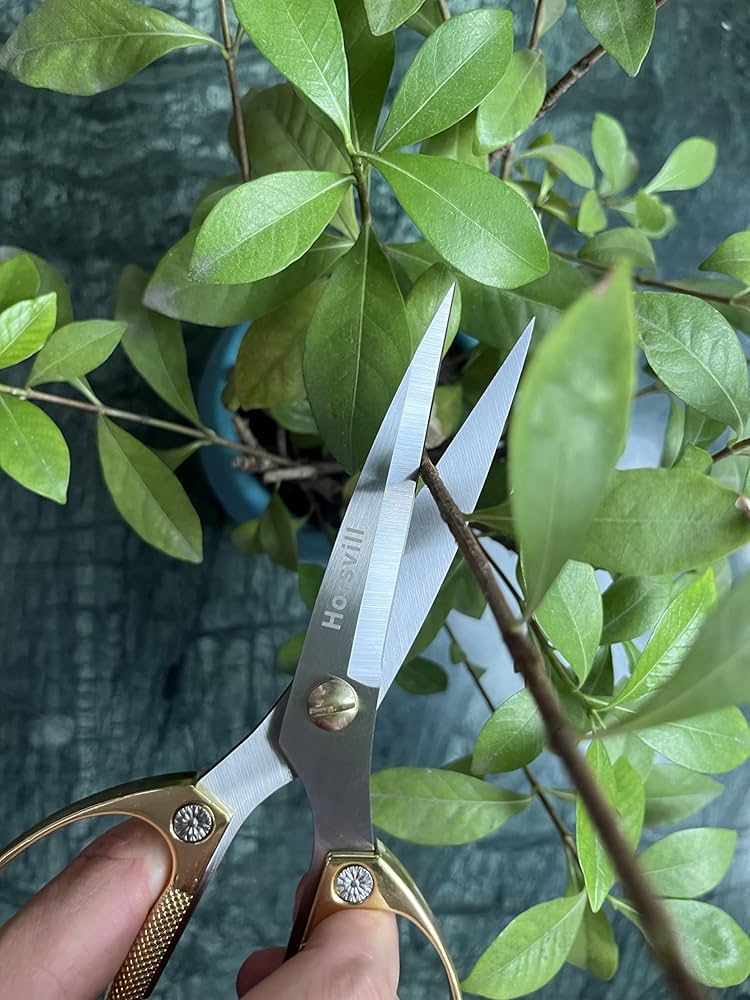 盆栽鋏・枝切り NEIGHBORHOOD 23SS SRL.GARDEN CLIPPERS Garden Clippers' SRL (Black) – MELLOWIST
