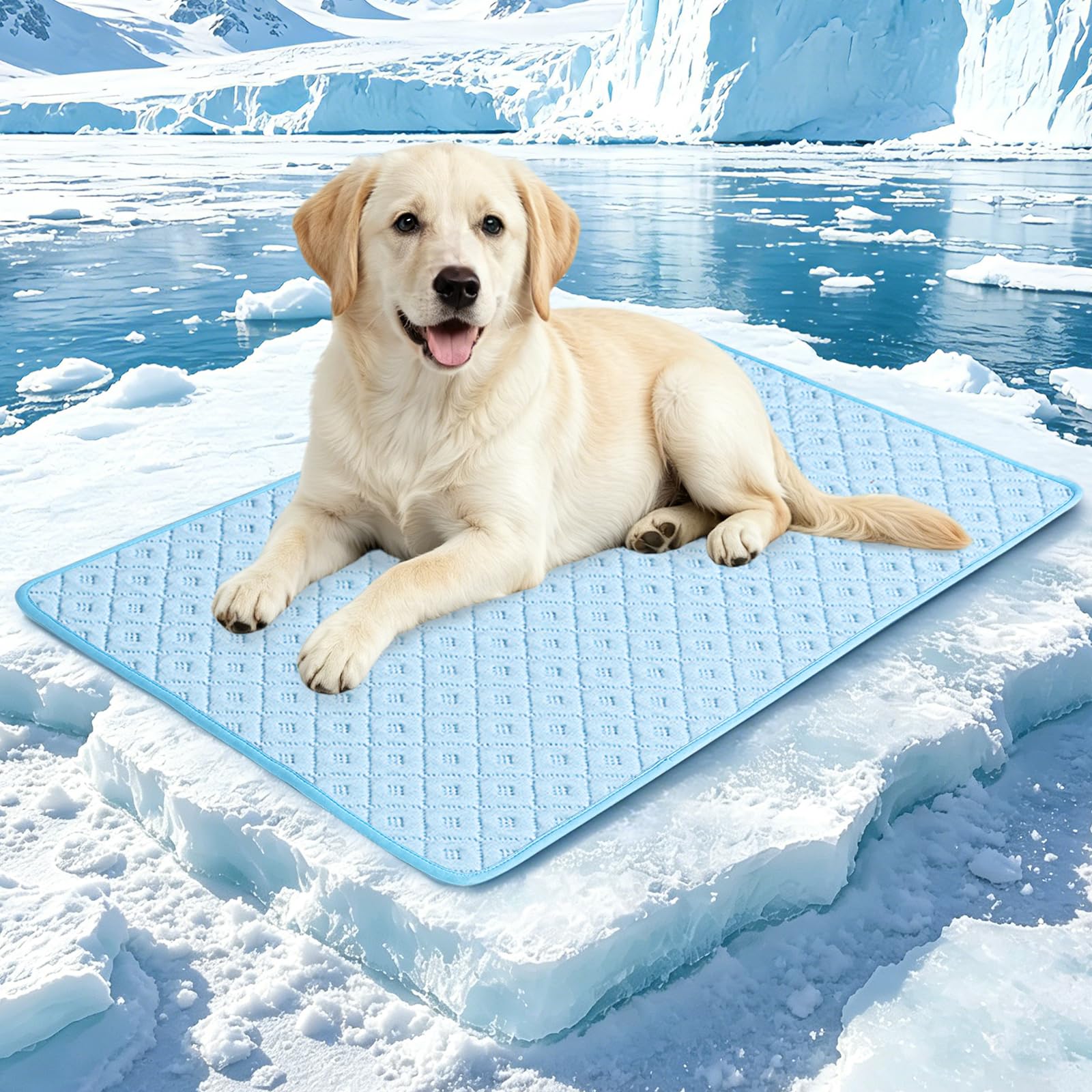 Alfombrilla de refrigeración mejorada para perros, transpirable, antideslizante, lavable, para perros, gatos, interiores y exteriores
