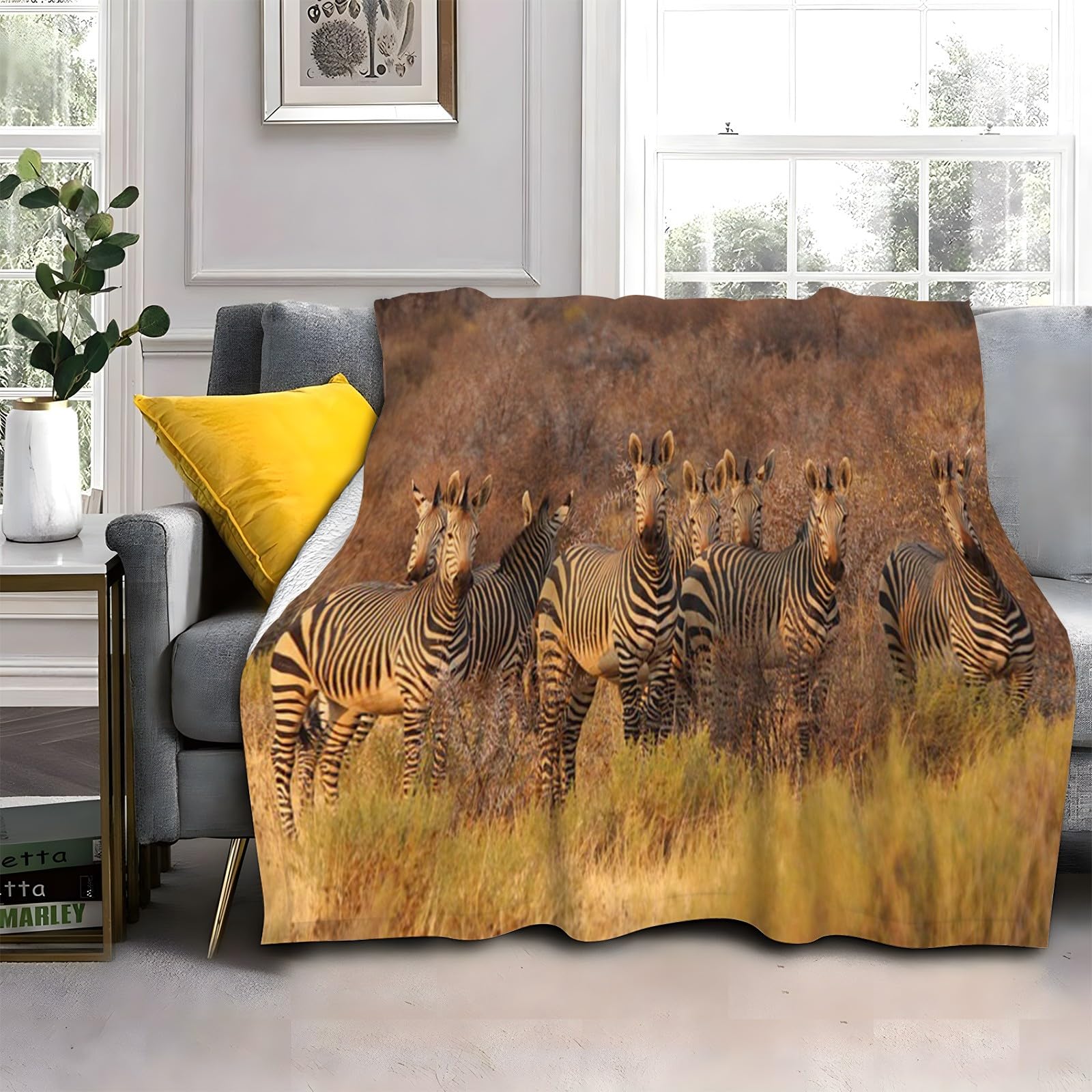LLSZAHD Zebra Blanket, Grassland Throw Blanket, Thick Warm Fuzzy Washable Flannel Blanket for Sofa, Chair, Car, Lap, Pets, excellent gift (30"x40")