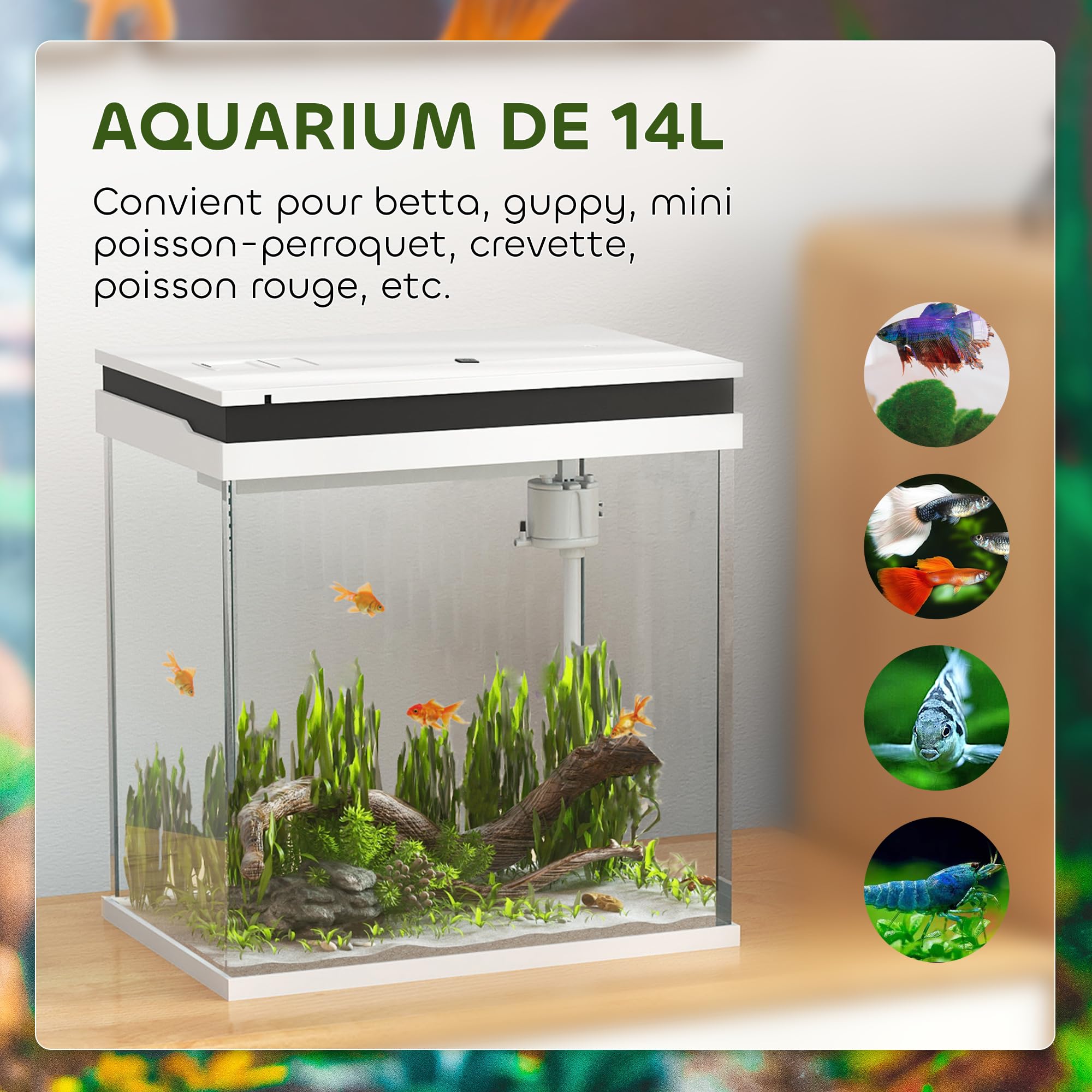 PawHut Acuario pequeño Completo 14L, Acuario de Cristal, con Sistema de filtración, iluminación LED, Bomba de Agua, Tapa, para Peces Tropicales, Rojo, Blanco | Sistema de Filtración, Bomba de Agua, Tapa, para Peces Tropicales, Rojos