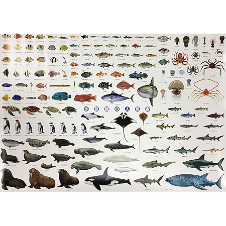 Amazon 水族館 人気者 ポスター 特大サイズ 146種 お風呂ポスター 図鑑 ａ1 サイズ 841 584mm Ki 090 C 生物 動物 人体 おもちゃ