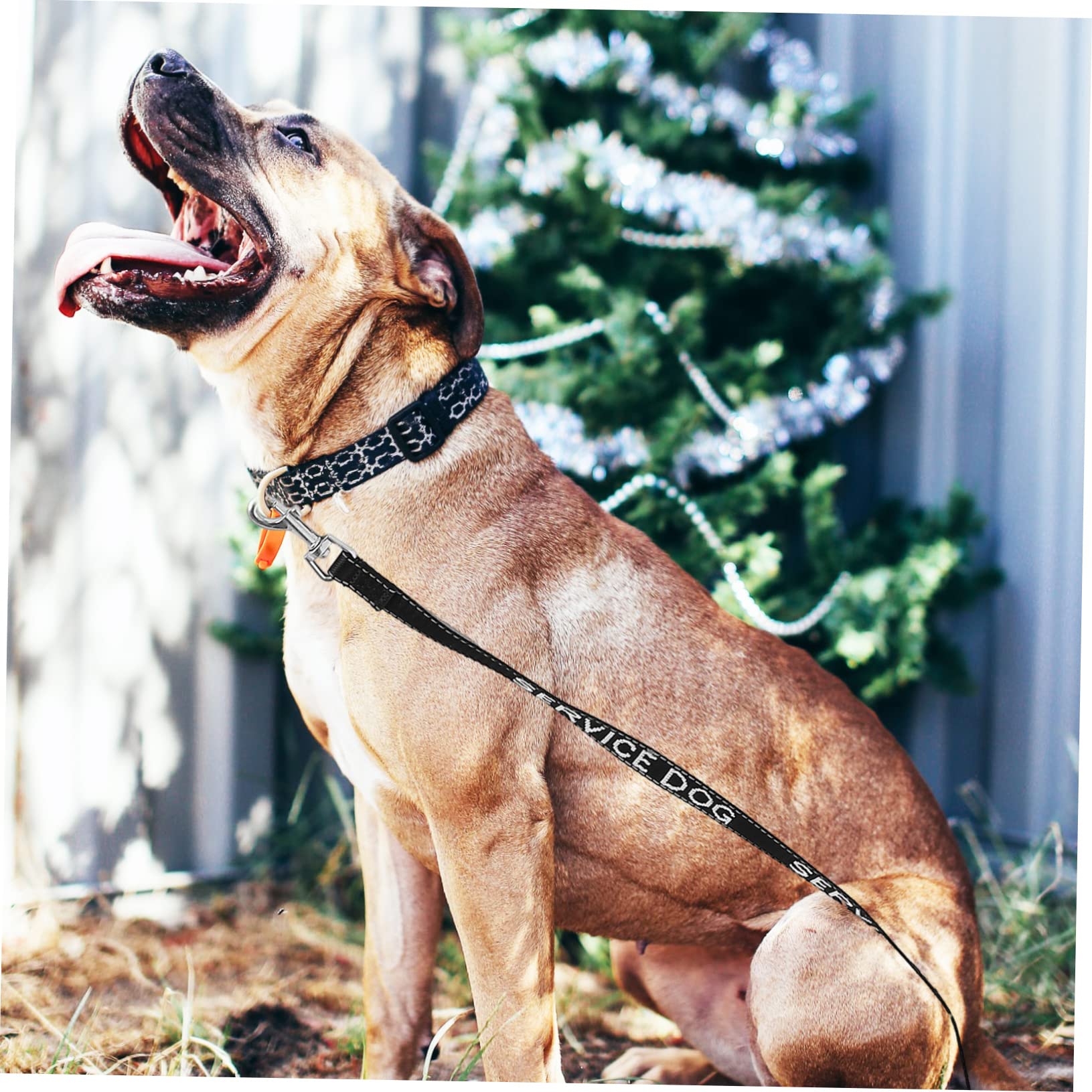 FOMIYES 5piezas Correa De Perro De Servicio Arnés Cuerda Conveniente para Mascotas para Paseos y Entrenamiento