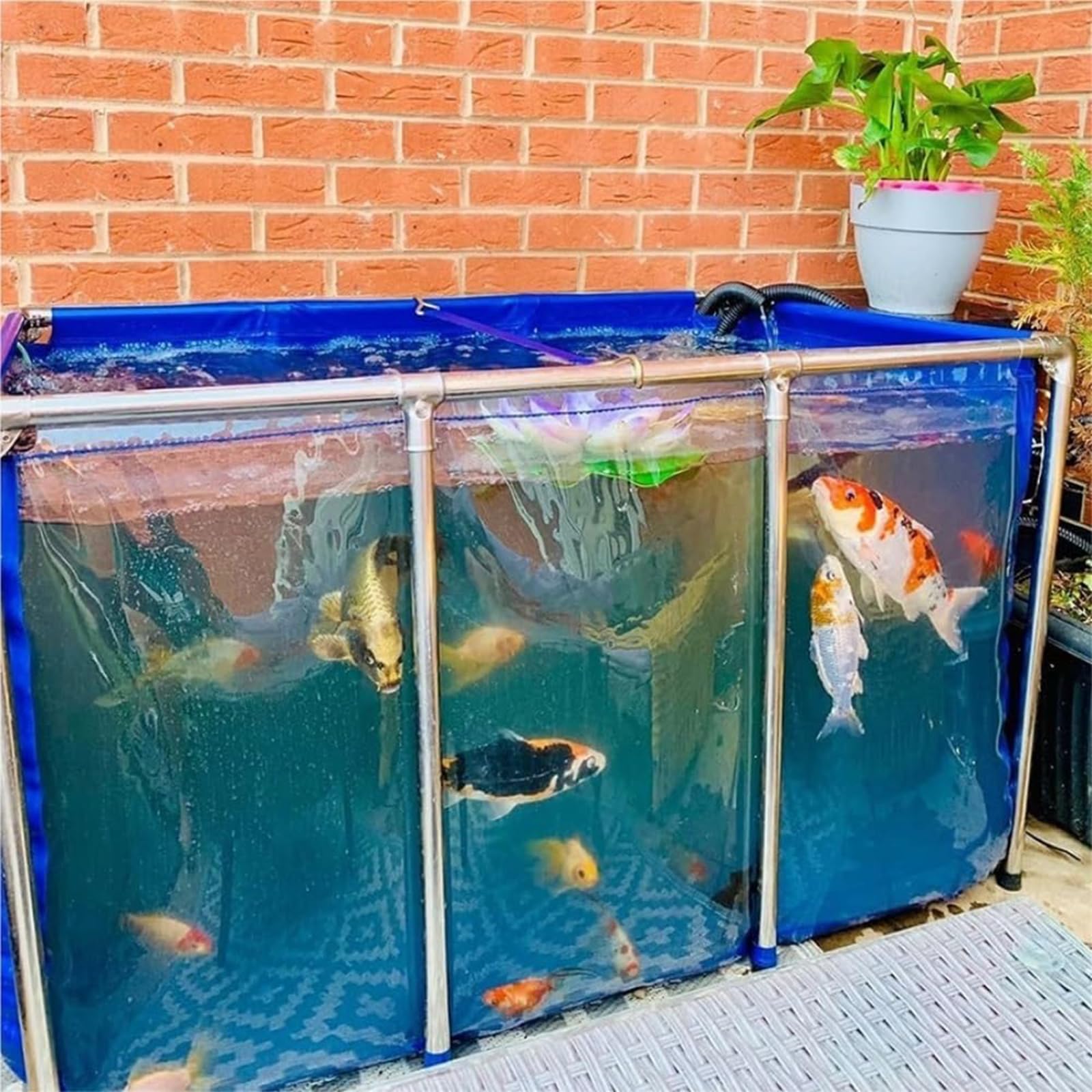 Ampio laghetto per Pesci Fuori Terra, di Dimensioni 120x80x71 cm, Realizzato in Tela PVC con Struttura in Acciaio, Dotato di Una Vasca per Carpe Koi Trasparente a Forma di Finestra, Un giard