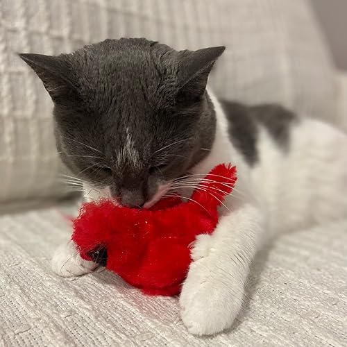 Miniatura 10 de SPOT Song Birds - Juguete para gatos con hierba gatera activada por el tacto, imita canciones reales de pájaros, juguete que funciona con pilas