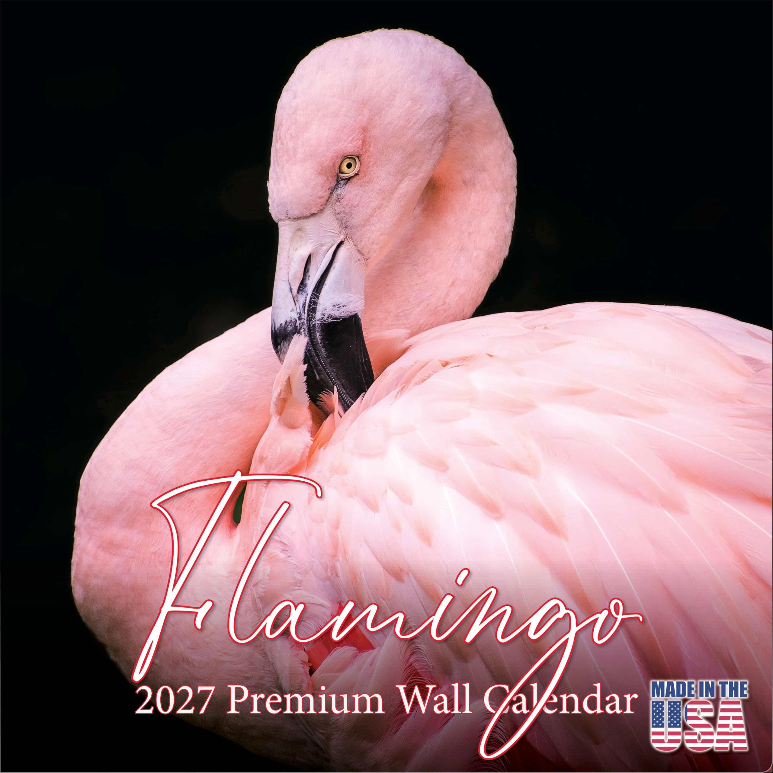 Flamingo Calendar 2021-2022 – Calendario mensual de pared con pájaros de animales – Hecho en Estados Unidos – 12 x 24 (abierto) – Calendario planificador para organizar y planificar
