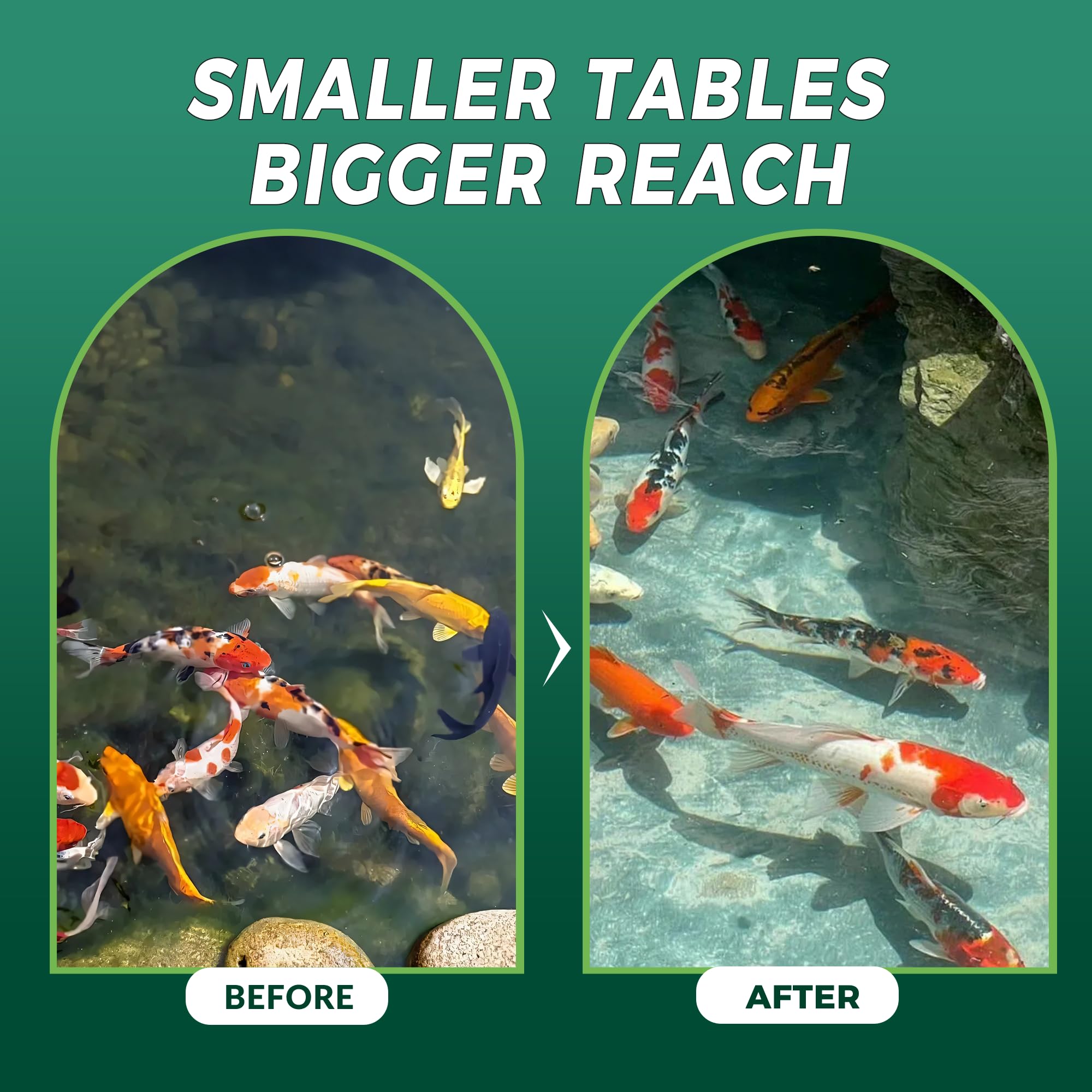Fish Tank muck Clear Parent 0,9 kg