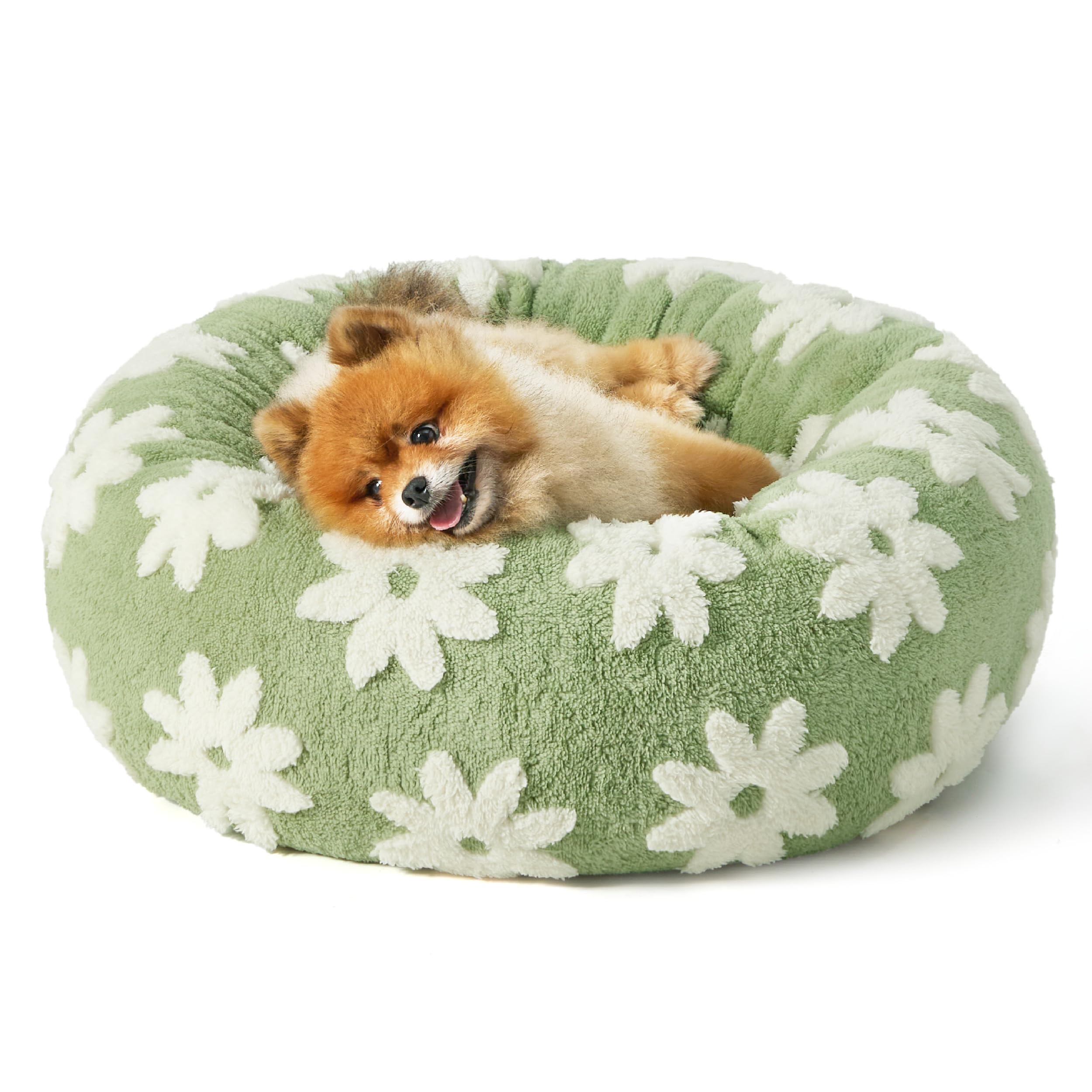Lesure Donut Small Dog Bed - Round Cat Beds for Indoor Cats Calming Pet Beds, Cute Modern Beds with Jacquard Shaggy Plush & Anti Slip Bottom, 23 Inch, Green