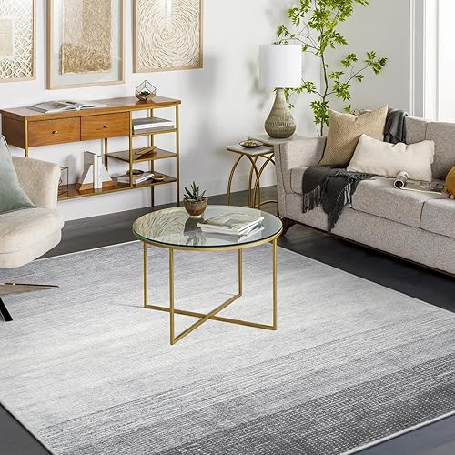 Wonnitar Alfombra moderna lavable de 8 x 10 pies, antideslizante, suave, gris, para sala de estar, no desprende pelusa, alfombra de dormitorio