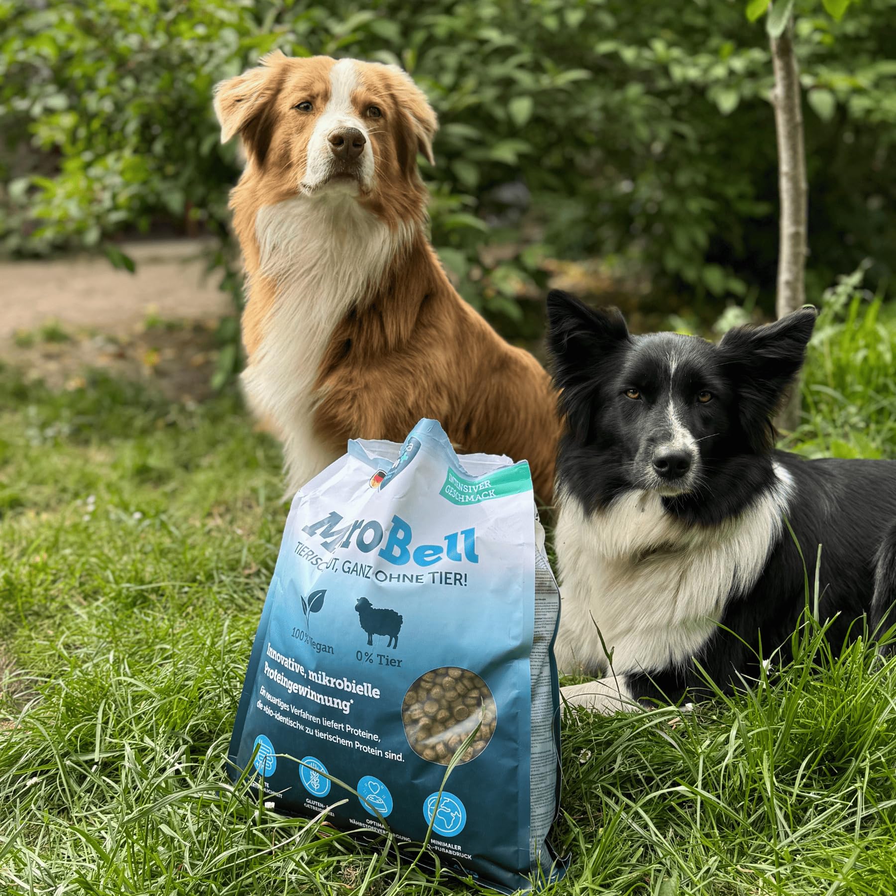Marsavet sucha karma MicroBell – 4 kg, monoproteinowa karma dla psów z białkami mikrobiologicznymi, odpowiednia dla wegetarian, alergików i wrażliwych psów, bez glutenu i zbóż.