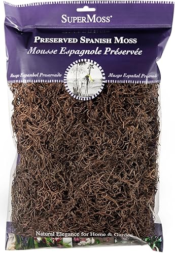 SuperMoss Musgo Español Conservado, Coffee