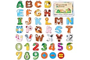 Wooden Thick Alphabet Magnets for Toddlers