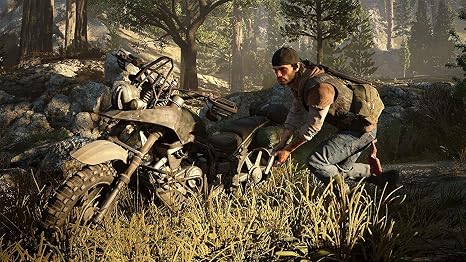 Days Gone CE - PlayStation 4