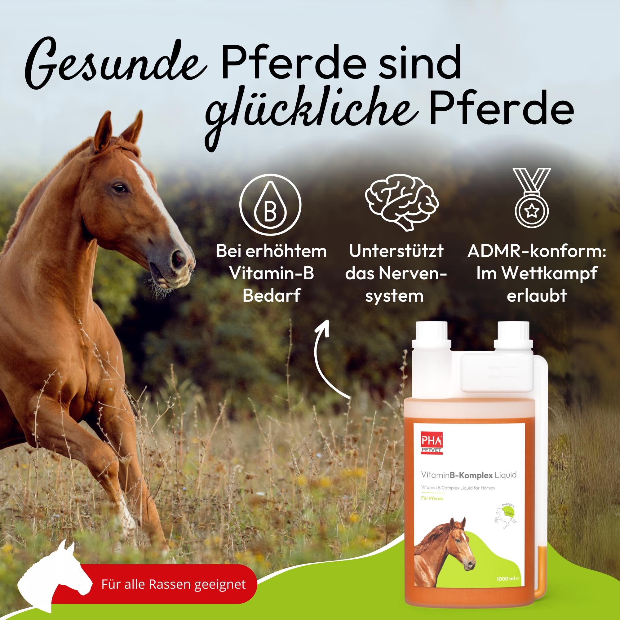 PHA-2 Caballo, Forro Complemento para Apoyo del Sistema nervioso y función de Cambio de plástico, líquido, Complejo de Vitamina B Liquid, 1000 ml