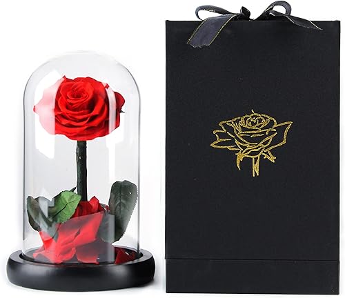 April Roses Rosa eterna preservada en cúpula de cristal para Navidad aniversario día de San Valentín día de la madre cumpleaños compromiso día de