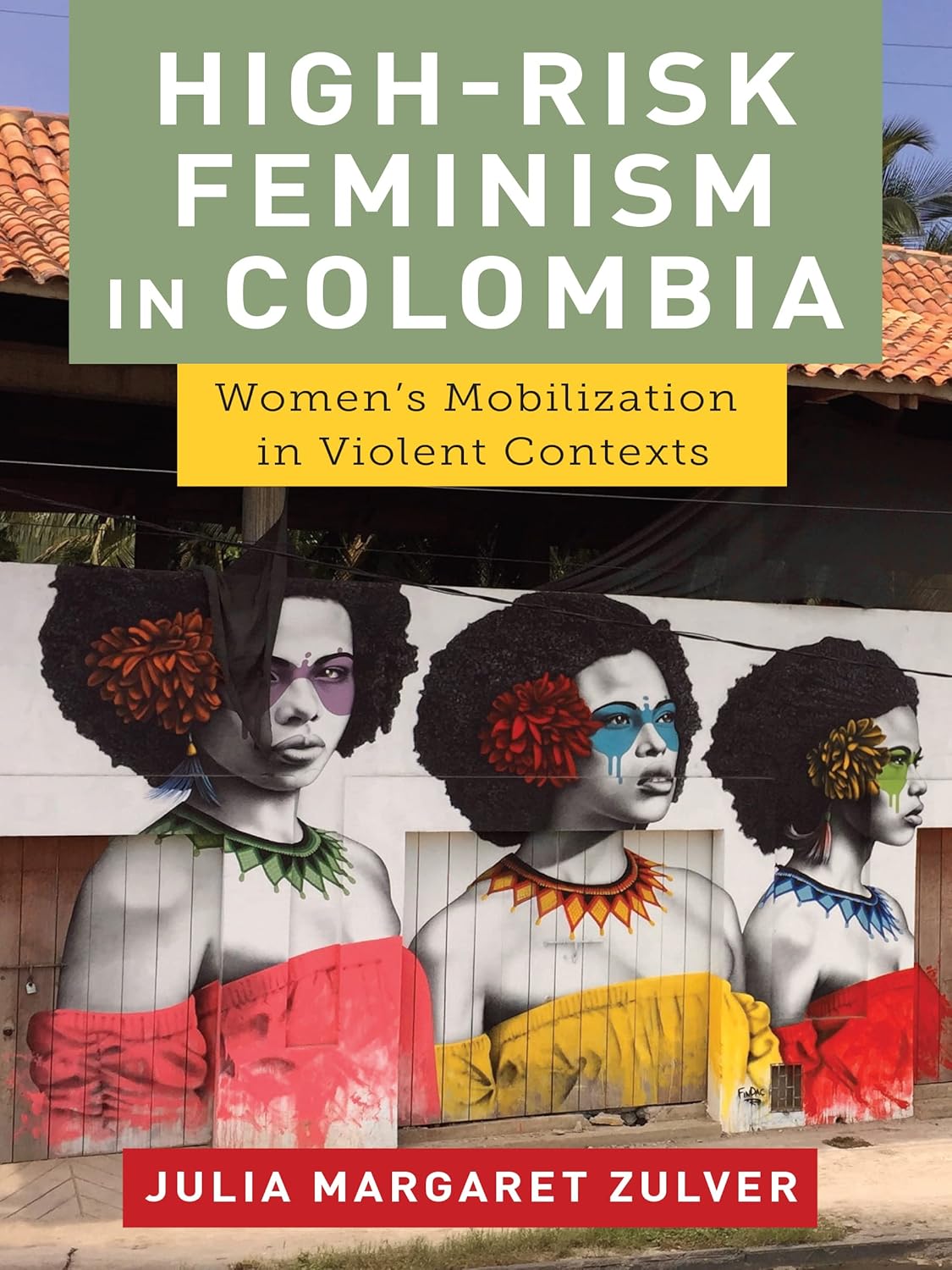 High-Risk Feminism in Colombia: Women's Mobilization in Violent Contexts      Kindle Edition