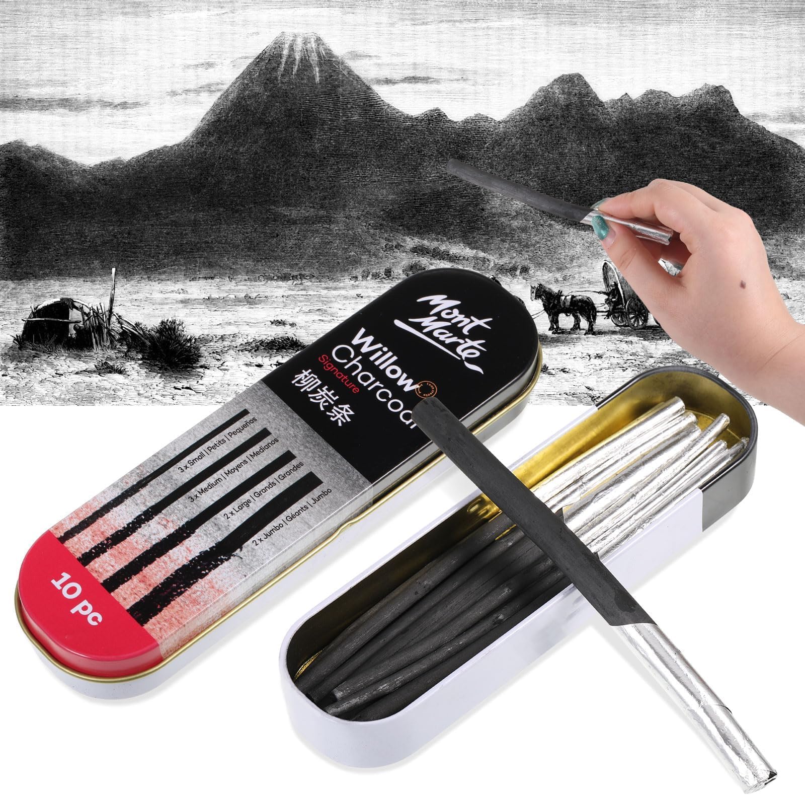10PCS Artist Charcoal Willow Charcoal Pencils for Artists Willow