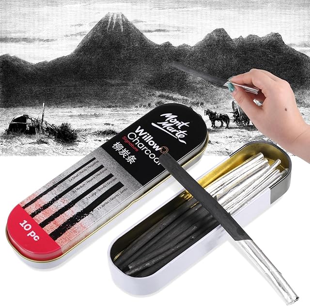 10PCS Artist Charcoal Willow Charcoal Pencils for Artists Willow Charcoal Sticks Artist Charcoal Sticks Black Charcoal Sticks for Artists Charcoal Drawing Pencils Set Charcoal Pencils Sketching Set