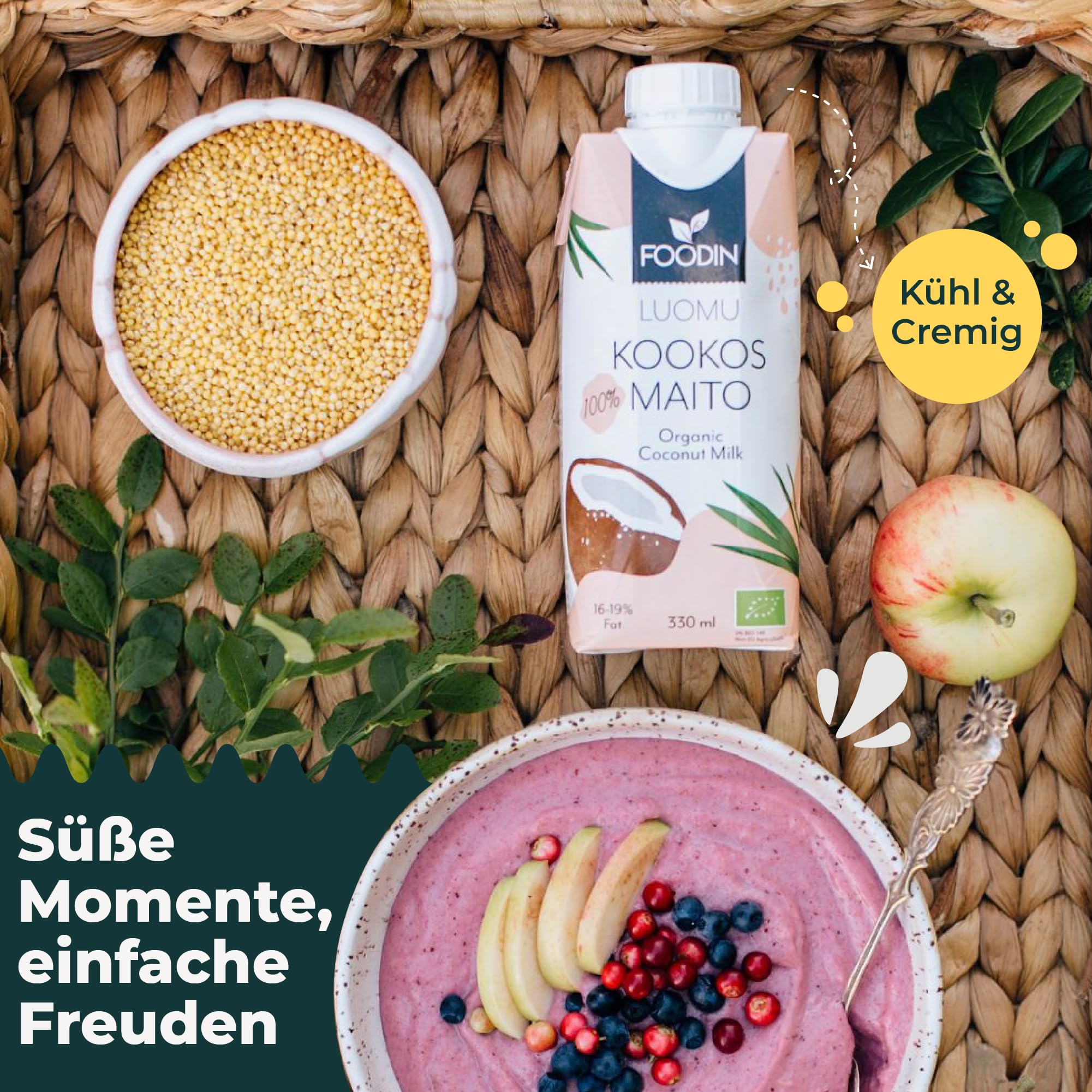 FOODIN Bio Kokosmilch 12 x 330 ml – Cremig & lecker, 100% vegan, aus weißem Kokosnuss-Fruchtfleisch, ideal für Currys, Suppen, Smoothies & Desserts
